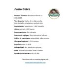 ficha tecnica brachiaria hibrido cobra