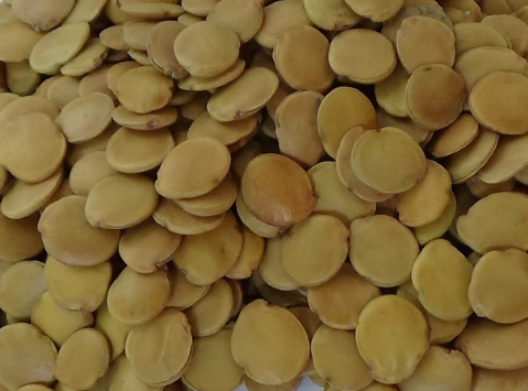 semillas de Matarratón