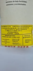 bolsa x 2 K semilla pasto Dunamis
