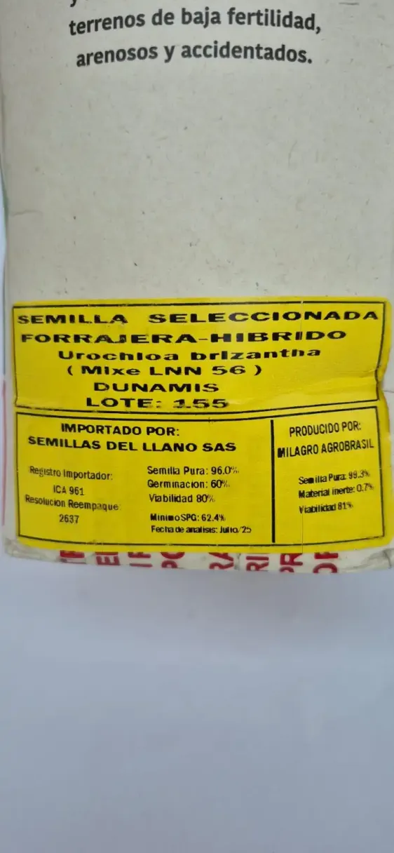 bolsa x 2 K semilla pasto Dunamis