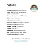 ficha tecnica brachiaria ruziziensis