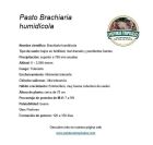 ficha tecnica brachiaria humidicola