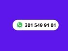 WhatsApp pasturas tropicales