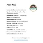 ficha tecnica brachiaria ruziziensis