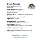 semilla grama bermuda