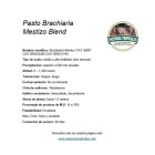 semilla pasto mestizo blend 2.jpeg