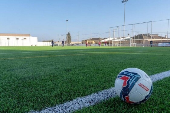 semillas de pasto para canchas de futbol