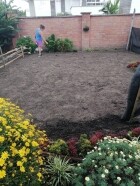 Siembra grama para jardín