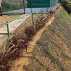 talud con mani forrajero