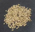 Semilla pasto decumbens o pasto amargo