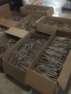 caja semilla king grass