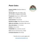 ficha tecnica brachiaria hibrido cobra