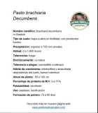Ficha técnica