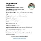 semilla grama macana para jardín