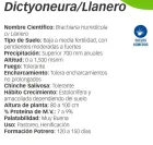 ficha tecnica brachiaria dictyoneura llanero