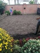 Siembra grama para jardín