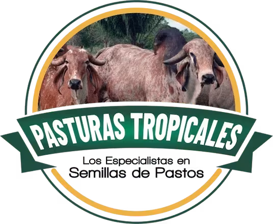 Pasturas Tropicales